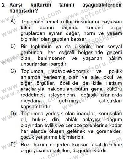 Küreselleşme ve Kültürlerarası İletişim Dersi 2015 - 2016 Yılı (Vize) Ara Sınav Soruları 3. Soru