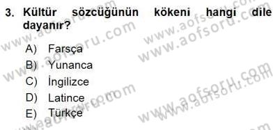 Küreselleşme ve Kültürlerarası İletişim Dersi 2015 - 2016 Yılı (Final) Dönem Sonu Sınav Soruları 3. Soru