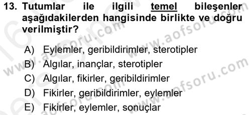 Küreselleşme ve Kültürlerarası İletişim Dersi 2015 - 2016 Yılı Tek Ders Sınav Soruları 13. Soru