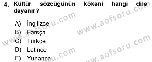 Küreselleşme ve Kültürlerarası İletişim Dersi 2015 - 2016 Yılı Tek Ders Sınav Soruları 4. Soru