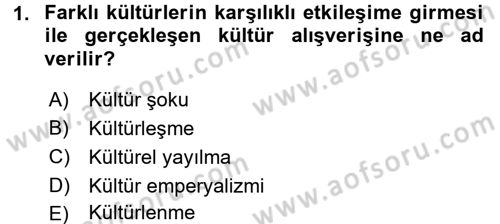 Küreselleşme ve Kültürlerarası İletişim Dersi 2016 - 2017 Yılı (Vize) Ara Sınav Soruları 1. Soru