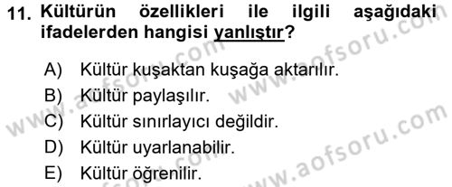 Küreselleşme ve Kültürlerarası İletişim Dersi 2016 - 2017 Yılı (Vize) Ara Sınav Soruları 11. Soru