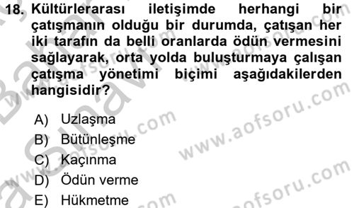 Küreselleşme ve Kültürlerarası İletişim Dersi 2016 - 2017 Yılı (Vize) Ara Sınav Soruları 18. Soru