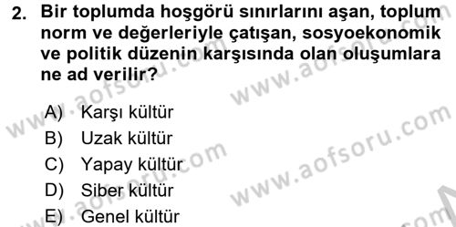 Küreselleşme ve Kültürlerarası İletişim Dersi 2016 - 2017 Yılı (Vize) Ara Sınav Soruları 2. Soru