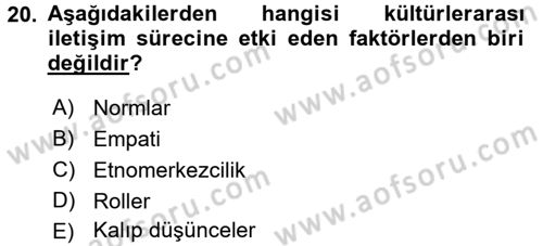 Küreselleşme ve Kültürlerarası İletişim Dersi 2016 - 2017 Yılı (Vize) Ara Sınav Soruları 20. Soru