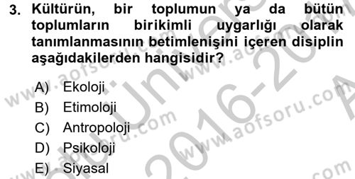 Küreselleşme ve Kültürlerarası İletişim Dersi 2016 - 2017 Yılı (Vize) Ara Sınav Soruları 3. Soru