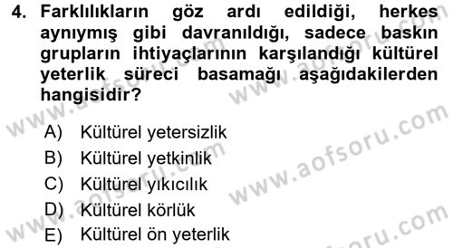 Küreselleşme ve Kültürlerarası İletişim Dersi 2016 - 2017 Yılı (Vize) Ara Sınav Soruları 4. Soru