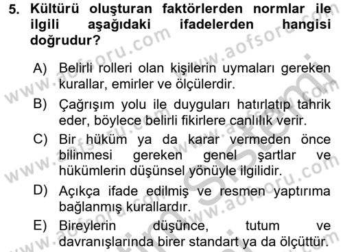 Küreselleşme ve Kültürlerarası İletişim Dersi 2016 - 2017 Yılı (Vize) Ara Sınav Soruları 5. Soru