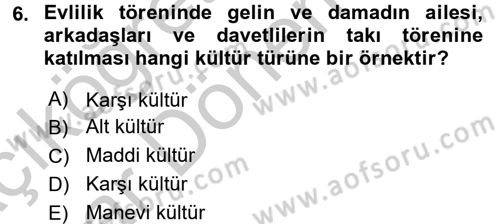 Küreselleşme ve Kültürlerarası İletişim Dersi 2016 - 2017 Yılı (Vize) Ara Sınav Soruları 6. Soru