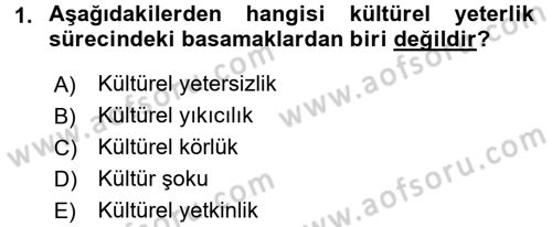 Küreselleşme ve Kültürlerarası İletişim Dersi 2016 - 2017 Yılı (Final) Dönem Sonu Sınavı 1. Soru