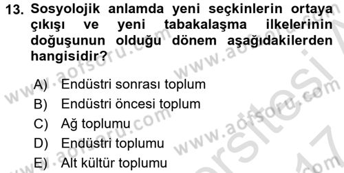 Küreselleşme ve Kültürlerarası İletişim Dersi 2016 - 2017 Yılı (Final) Dönem Sonu Sınavı 13. Soru
