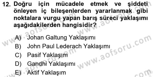 Küreselleşme ve Kültürlerarası İletişim Dersi 2017 - 2018 Yılı 3 Ders Sınav Soruları 12. Soru