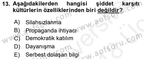 Küreselleşme ve Kültürlerarası İletişim Dersi 2017 - 2018 Yılı 3 Ders Sınav Soruları 13. Soru