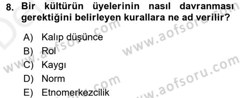 Küreselleşme ve Kültürlerarası İletişim Dersi 2017 - 2018 Yılı 3 Ders Sınav Soruları 8. Soru
