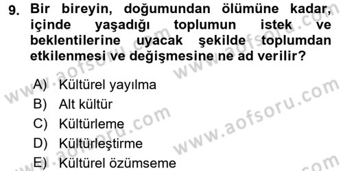 Küreselleşme ve Kültürlerarası İletişim Dersi 2017 - 2018 Yılı 3 Ders Sınav Soruları 9. Soru