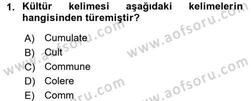 Küreselleşme ve Kültürlerarası İletişim Dersi 2017 - 2018 Yılı (Vize) Ara Sınav Soruları 1. Soru