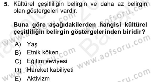 Küreselleşme ve Kültürlerarası İletişim Dersi 2017 - 2018 Yılı (Vize) Ara Sınav Soruları 5. Soru