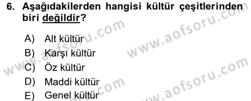 Küreselleşme ve Kültürlerarası İletişim Dersi 2017 - 2018 Yılı (Vize) Ara Sınavı 6. Soru