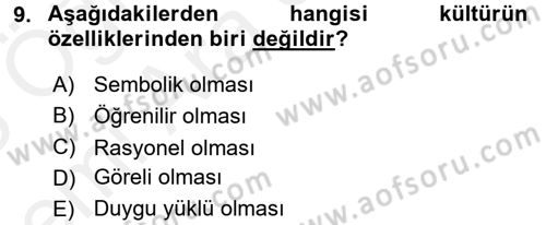 Küreselleşme ve Kültürlerarası İletişim Dersi 2017 - 2018 Yılı (Vize) Ara Sınav Soruları 9. Soru