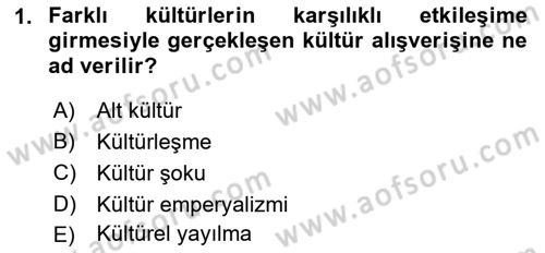 Küreselleşme ve Kültürlerarası İletişim Dersi 2018 - 2019 Yılı 3 Ders Sınav Soruları 1. Soru