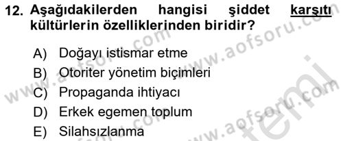 Küreselleşme ve Kültürlerarası İletişim Dersi 2018 - 2019 Yılı 3 Ders Sınav Soruları 12. Soru