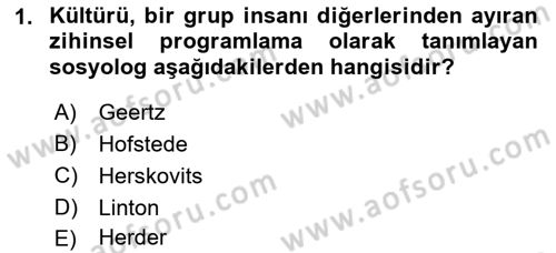Küreselleşme ve Kültürlerarası İletişim Dersi 2018 - 2019 Yılı (Vize) Ara Sınav Soruları 1. Soru