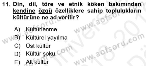 Küreselleşme ve Kültürlerarası İletişim Dersi 2018 - 2019 Yılı (Vize) Ara Sınav Soruları 11. Soru