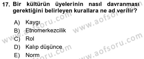 Küreselleşme ve Kültürlerarası İletişim Dersi 2018 - 2019 Yılı (Vize) Ara Sınav Soruları 17. Soru
