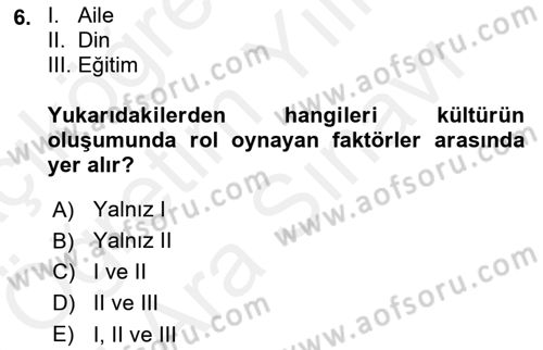 Küreselleşme ve Kültürlerarası İletişim Dersi 2018 - 2019 Yılı (Vize) Ara Sınav Soruları 6. Soru