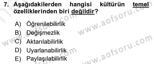 Küreselleşme ve Kültürlerarası İletişim Dersi 2018 - 2019 Yılı (Vize) Ara Sınav Soruları 7. Soru