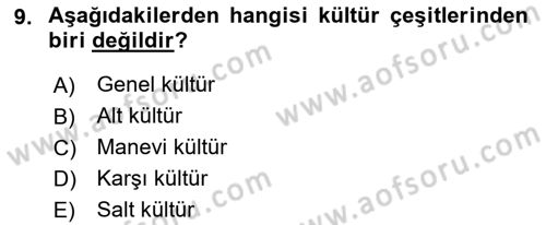 Küreselleşme ve Kültürlerarası İletişim Dersi 2018 - 2019 Yılı (Vize) Ara Sınav Soruları 9. Soru