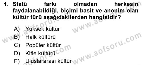 Küreselleşme ve Kültürlerarası İletişim Dersi 2018 - 2019 Yılı (Final) Dönem Sonu Sınav Soruları 1. Soru