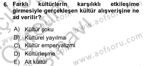Küreselleşme ve Kültürlerarası İletişim Dersi 2018 - 2019 Yılı Yaz Okulu Sınav Soruları 6. Soru