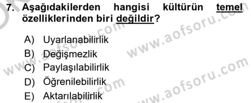 Küreselleşme ve Kültürlerarası İletişim Dersi 2018 - 2019 Yılı Yaz Okulu Sınav Soruları 7. Soru