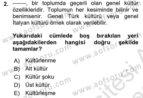 Küreselleşme ve Kültürlerarası İletişim Dersi 2021 - 2022 Yılı (Vize) Ara Sınav Soruları 2. Soru