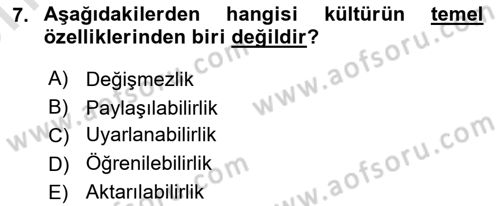 Küreselleşme ve Kültürlerarası İletişim Dersi 2021 - 2022 Yılı (Vize) Ara Sınav Soruları 7. Soru