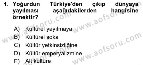 Küreselleşme ve Kültürlerarası İletişim Dersi 2021 - 2022 Yılı (Final) Dönem Sonu Sınav Soruları 1. Soru