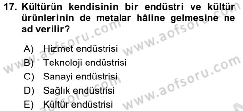 Küreselleşme ve Kültürlerarası İletişim Dersi 2021 - 2022 Yılı (Final) Dönem Sonu Sınav Soruları 17. Soru