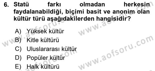 Küreselleşme ve Kültürlerarası İletişim Dersi 2022 - 2023 Yılı Yaz Okulu Sınav Soruları 6. Soru