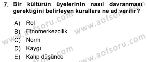 Küreselleşme ve Kültürlerarası İletişim Dersi 2022 - 2023 Yılı Yaz Okulu Sınav Soruları 7. Soru