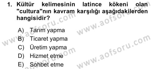 Küreselleşme ve Kültürlerarası İletişim Dersi 2023 - 2024 Yılı (Vize) Ara Sınav Soruları 1. Soru