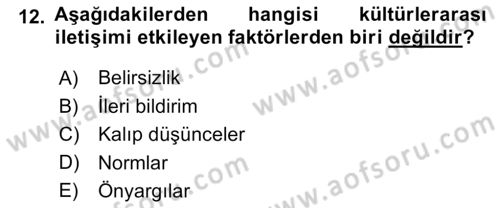 Küreselleşme ve Kültürlerarası İletişim Dersi 2023 - 2024 Yılı (Vize) Ara Sınav Soruları 12. Soru