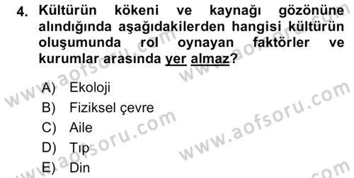 Küreselleşme ve Kültürlerarası İletişim Dersi 2023 - 2024 Yılı (Vize) Ara Sınav Soruları 4. Soru