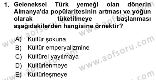 Küreselleşme ve Kültürlerarası İletişim Dersi 2023 - 2024 Yılı (Final) Dönem Sonu Sınav Soruları 1. Soru