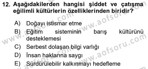 Küreselleşme ve Kültürlerarası İletişim Dersi 2023 - 2024 Yılı (Final) Dönem Sonu Sınav Soruları 12. Soru