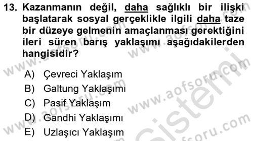Küreselleşme ve Kültürlerarası İletişim Dersi 2023 - 2024 Yılı (Final) Dönem Sonu Sınav Soruları 13. Soru
