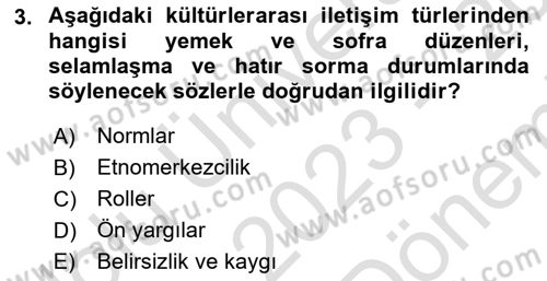 Küreselleşme ve Kültürlerarası İletişim Dersi 2023 - 2024 Yılı (Final) Dönem Sonu Sınav Soruları 3. Soru