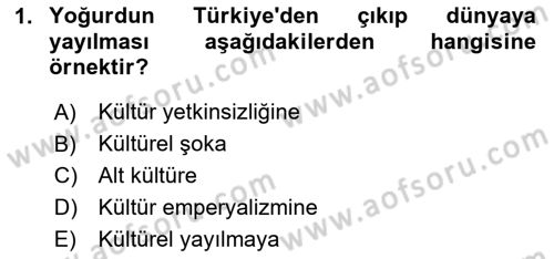 Küreselleşme ve Kültürlerarası İletişim Dersi 2023 - 2024 Yılı Yaz Okulu Sınav Soruları 1. Soru