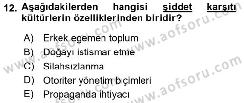 Küreselleşme ve Kültürlerarası İletişim Dersi 2023 - 2024 Yılı Yaz Okulu Sınav Soruları 12. Soru