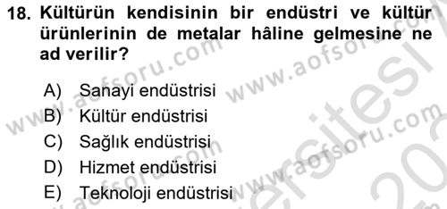 Küreselleşme ve Kültürlerarası İletişim Dersi 2023 - 2024 Yılı Yaz Okulu Sınav Soruları 18. Soru